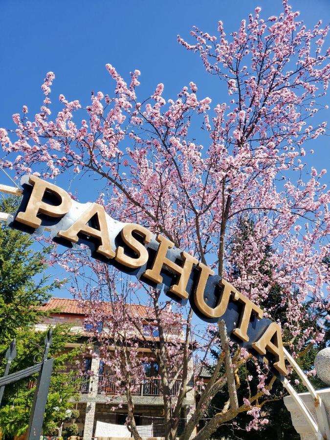 Pashuta Hotel Voskopojë Eksteriør billede